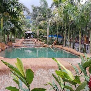 Hotel Palmera Real Hot Springs